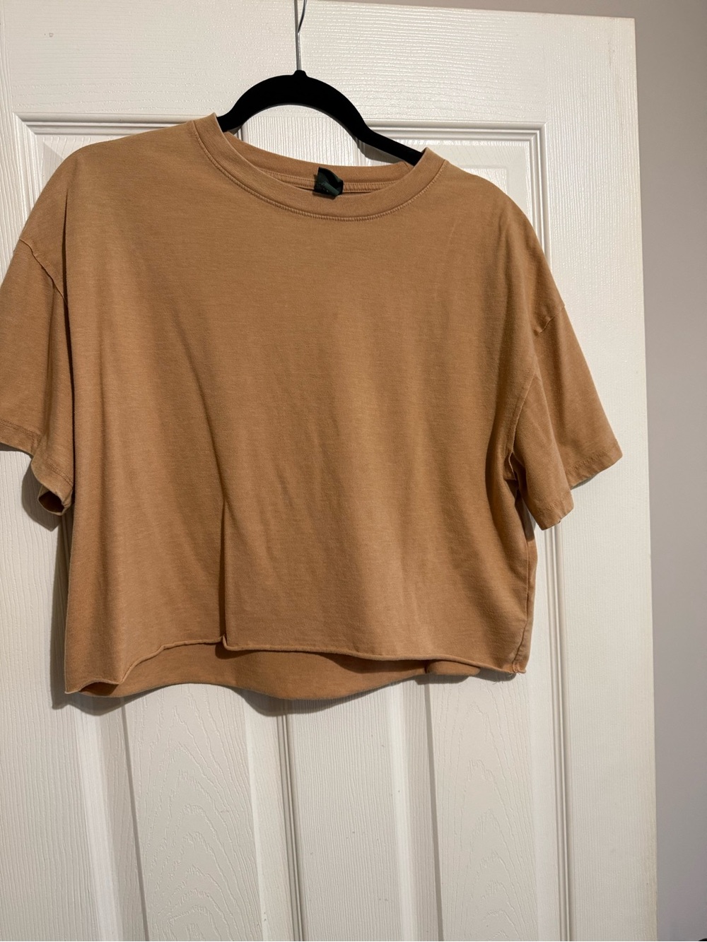 wild fable Cropped Tee in Camel Tan